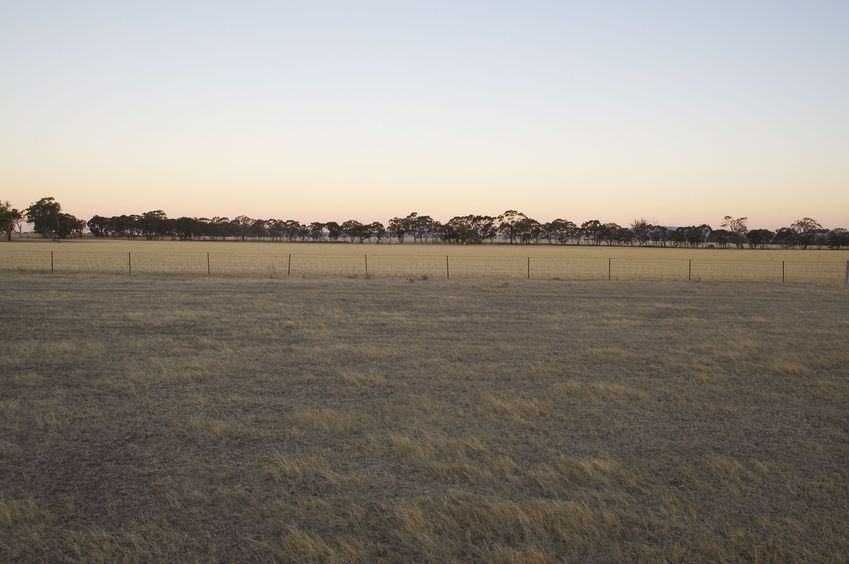 View East (towards Glenoma road, 450 metres away)