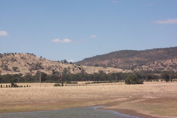 Ducks take wing from the watering hole adjacent to the confluence east