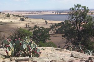 #1: Cacti and Cairn Curran Reservoir seen from atop the hill a bit over a kilometer west of the confluence