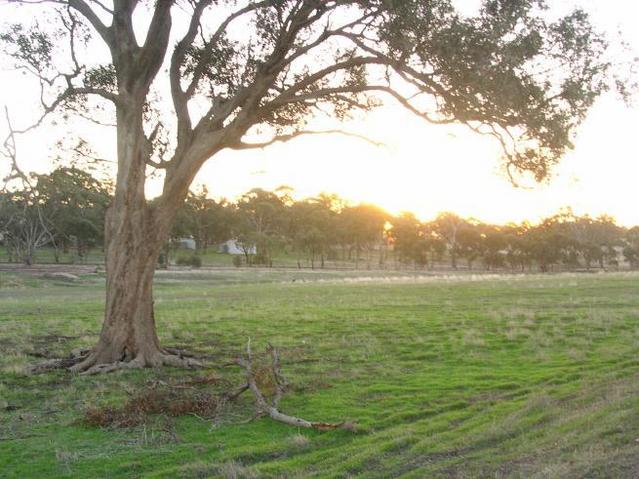 Looking west to the setting sun