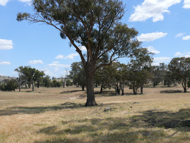 View South - back towards the road