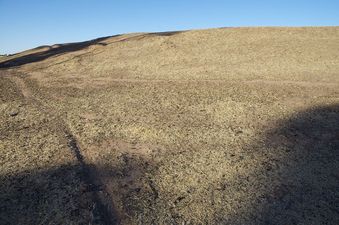 #1: The confluence point lies on the side of a dammed-up watering hole