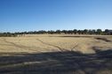 #4: View South (towards the farm road, just 200 metres away)