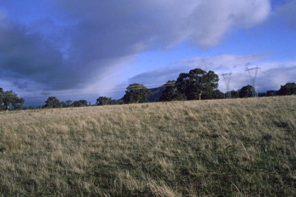 View to the south from the confluence - towards "The Paps"