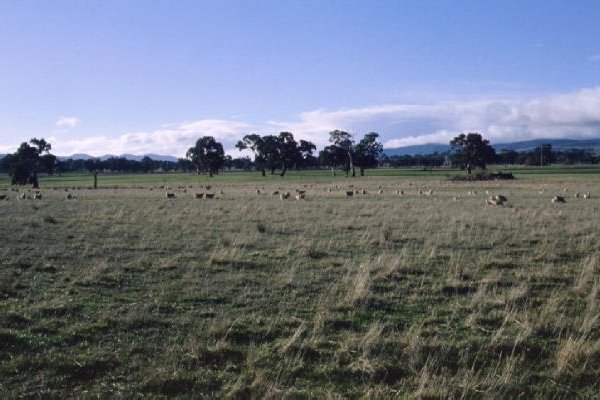 View to the north