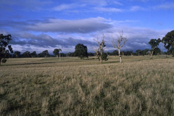 View to the east