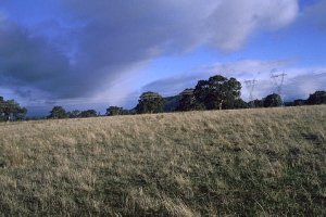 #1: View to the south from the confluence - towards "The Paps"