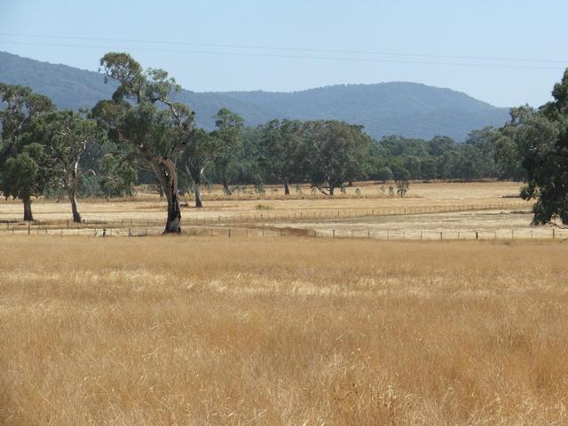 View to the North