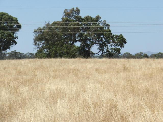 View to the South