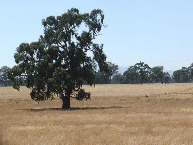 View to the East