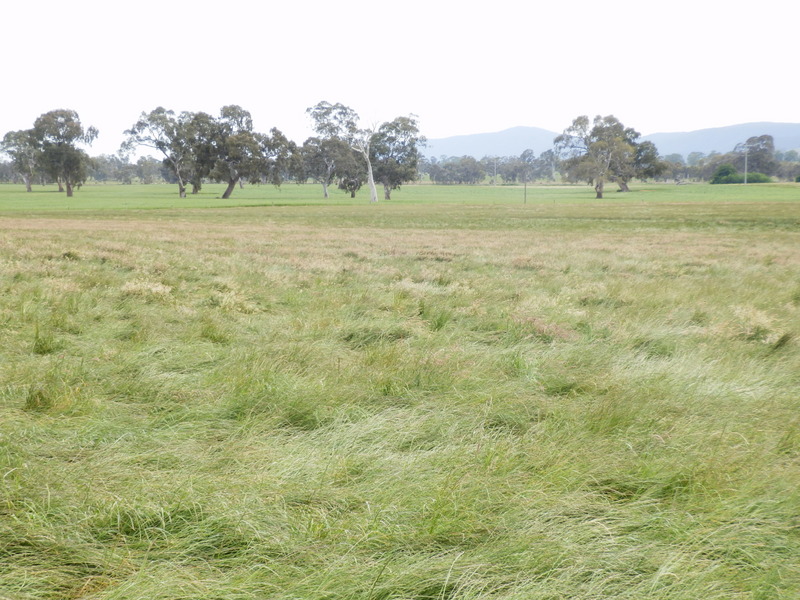 The Confluence from 30 m