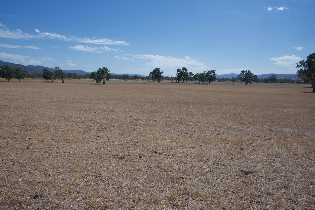 The confluence point is located in a bare farm field. (This is also a view to the North.)