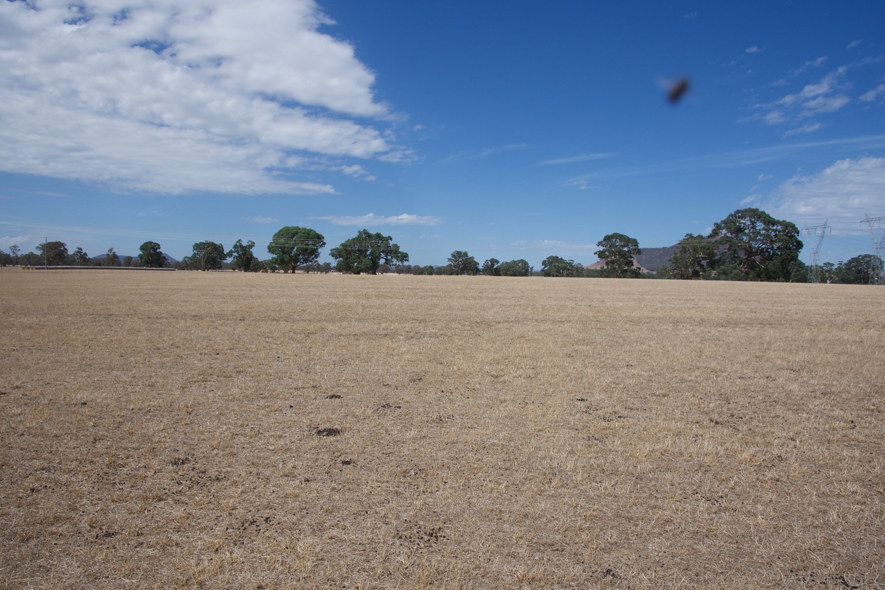 View South (photobombed by a fly on my camera lens)