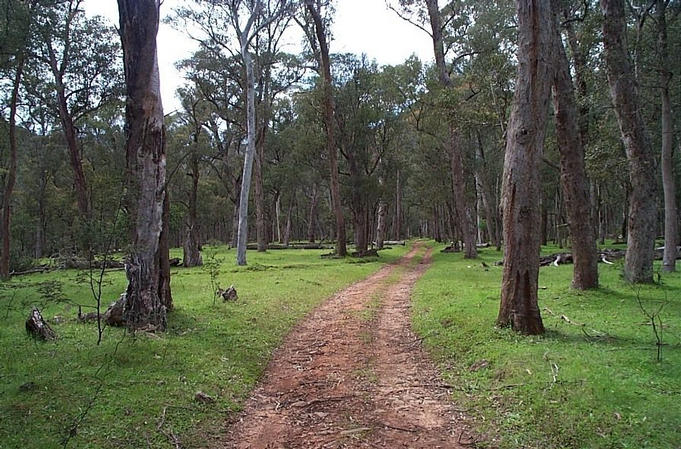 The easy part of the approach - Buckland valley