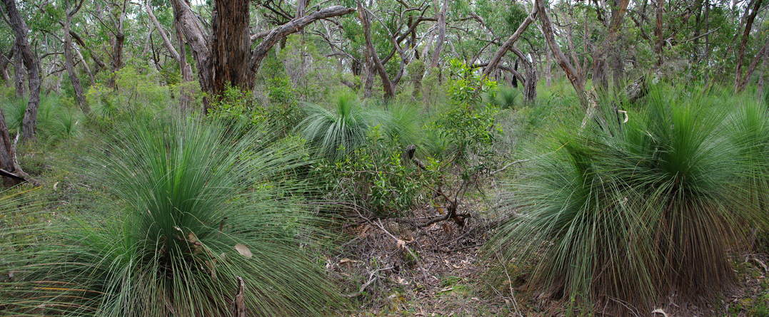 General View of Confluence Area