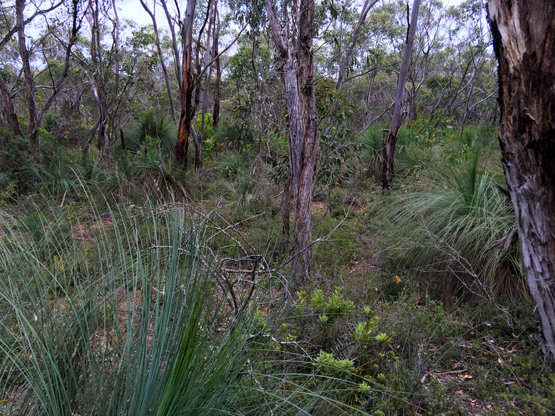 View to the South from the Confluence Point