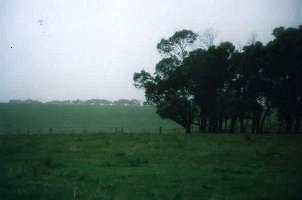 #1: View to the north with road on the horizon.