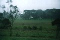 #2: Looking west towards the farm house and my car.