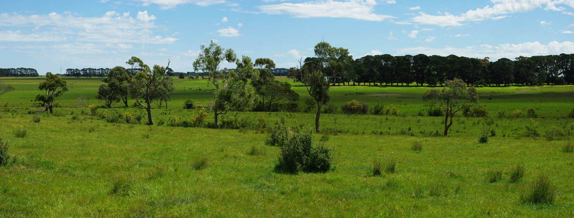 General View of Confluence Area