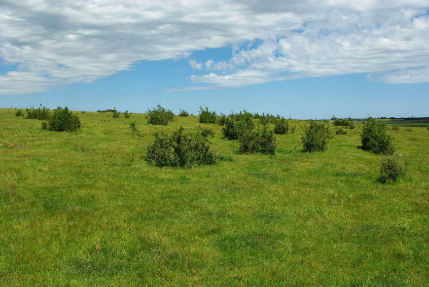 Looking South from the Confluence