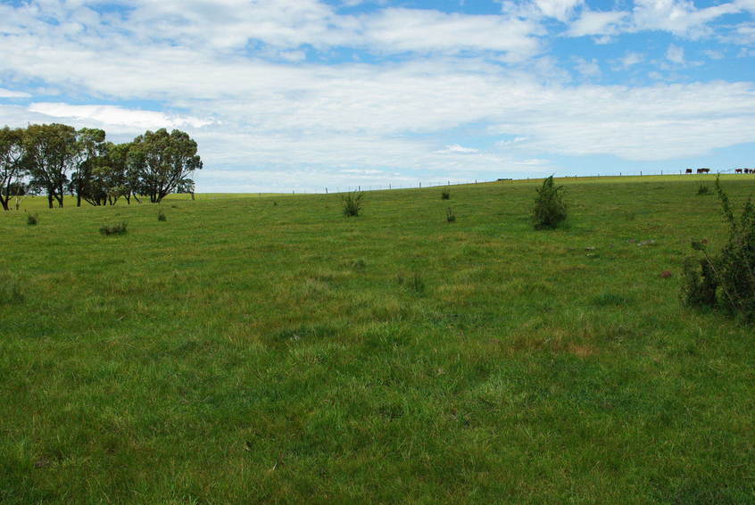 Looking East from the Confluence