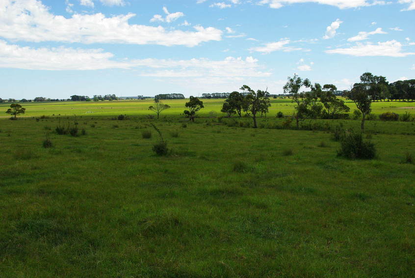 Looking West from the Confluence