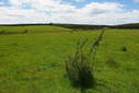 #2: Looking North from the Confluence