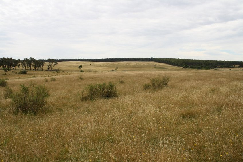 General Area looking from South To the North