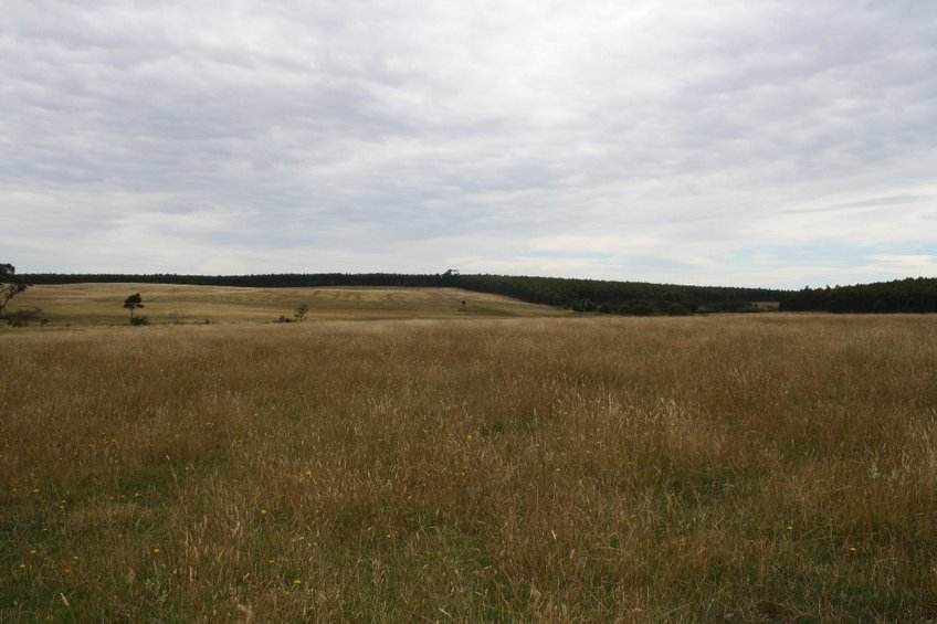 Looking North from the Confluence