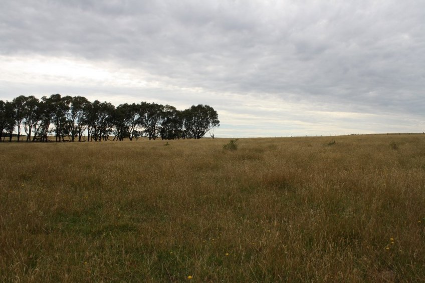 Looking East from the Confluence