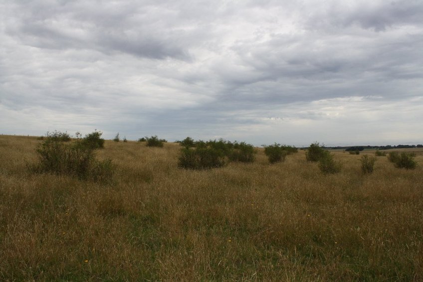 Looking South from the Confluence