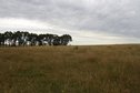 #3: Looking East from the Confluence