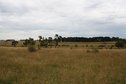 #5: Looking West from the Confluence