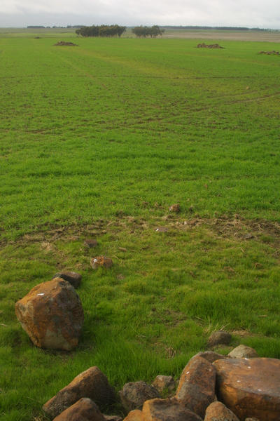 View of confluence (facing E)