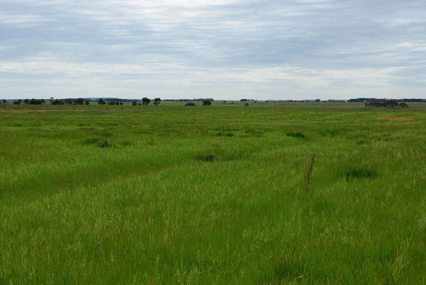 Looking North From Confluence