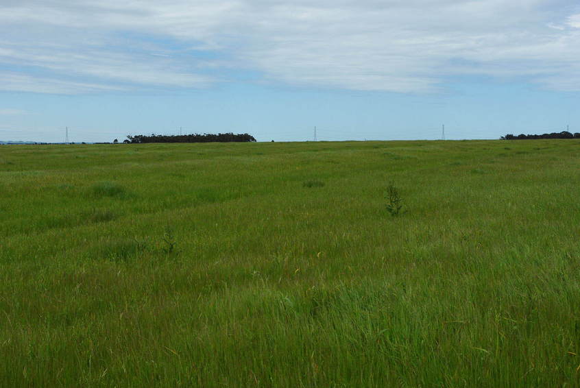 Looking South From Confluence