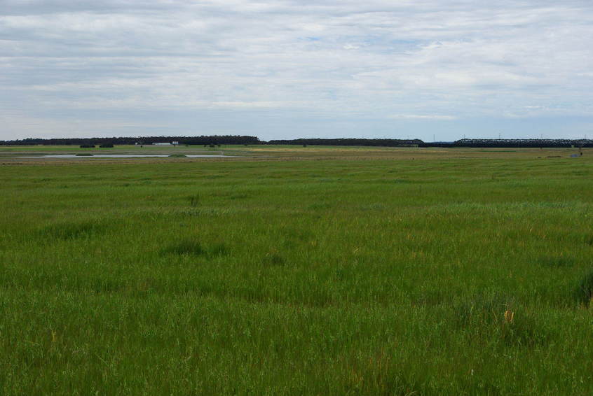 Looking East From Confluence