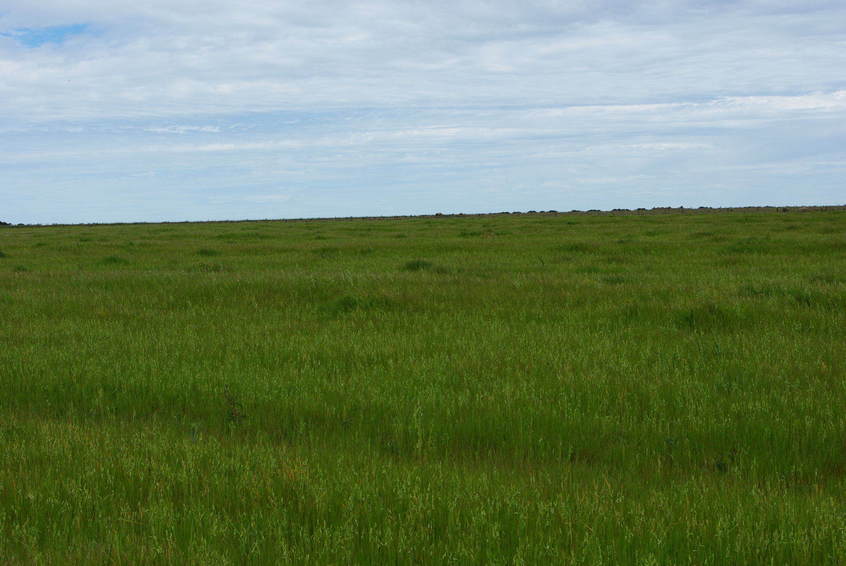 Looking West From Confluence