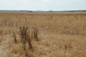 #1: General view and looking toward East