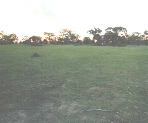 A camera bag in the middle of a paddock. Well there was nothing else there.