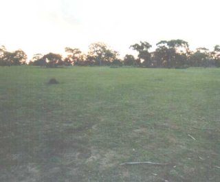 #1: A camera bag in the middle of a paddock. Well there was nothing else there.