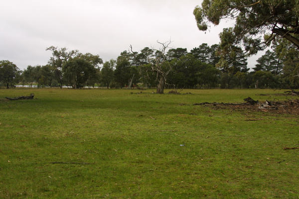 View E across confluence (GPS on ground, car at trees)