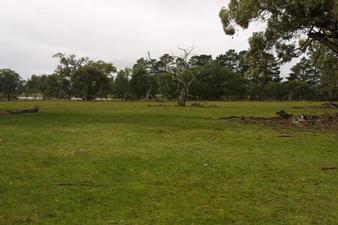 #1: View E across confluence (GPS on ground, car at trees)