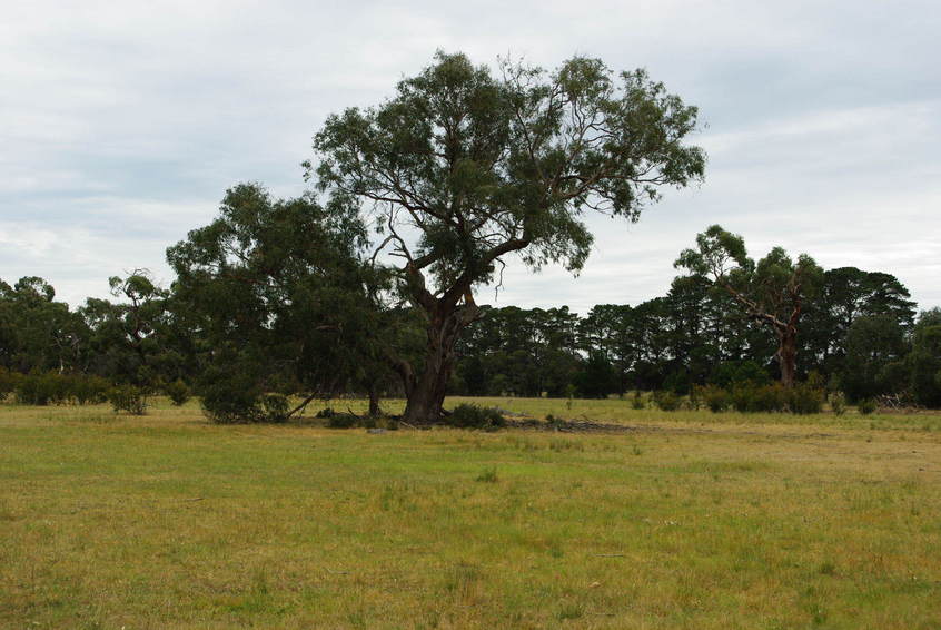 Looking North from the Confluence