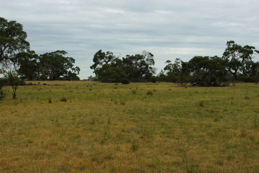 Looking West from the Confluence