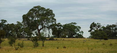 #1: General View of Confluence Area