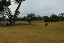 #3: Looking South from the Confluence