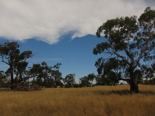 #1: View of the confluence point from near the barbed wire fence