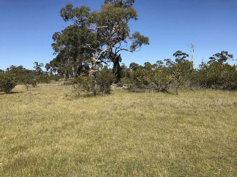 View to the south from the confluence point.