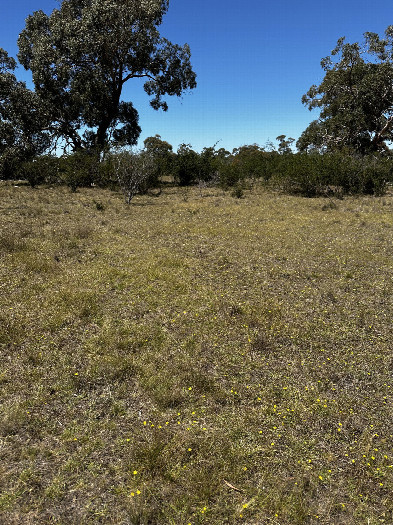 #1: View of the confluence area